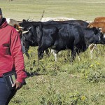 Zandile-Cewu-livestock-farmer