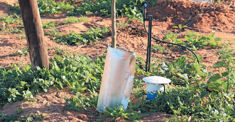 Cutting water and energy use in orchards