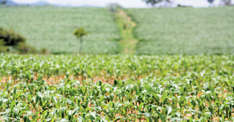 New commission to audit land ownership in Zimbabwe New commission to audit land ownership in Zimbabwe