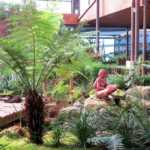 Forest-Ferns-visitors-center-and-nursery