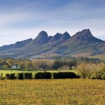 Winelands