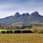 Winelands