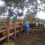fwa2012115143550.jpg