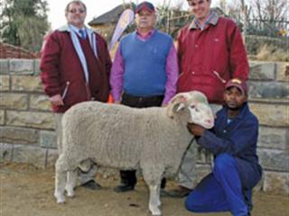 Heuningkrans Merino Production Sale Heuningkrans Merino Production Sale