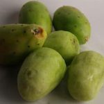 fwa201242310594.jpg