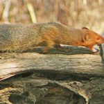 fwa201259104715.jpg