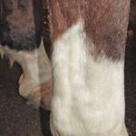 fwa2013119235439.jpg