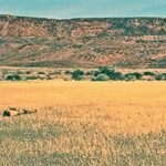 fwa201317111514.jpg