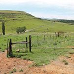 fwa2013314153055.jpg