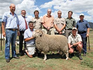 Hartebeesfontein Merinos Production Sale