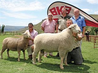 Van Aardt Greyling – SA Mutton Merino Stud Production Sale