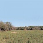 fwa201482912517.jpg