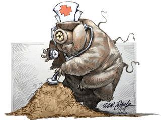 What’s in a handful of soil? What’s in a handful of soil?