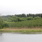 fwa201536123341.jpg