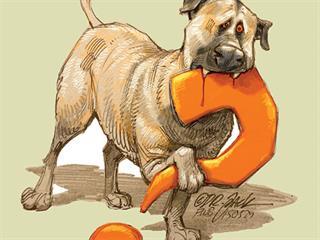 How ‘predator-friendly’ are Anatolian guard dogs? How ‘predator-friendly’ are Anatolian guard dogs?