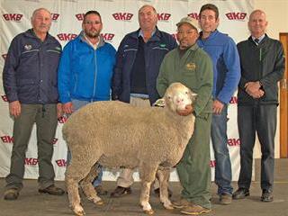 20th Annual Caledon Promotional Ram Sale