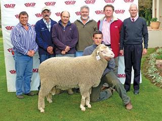 9th Production Sale of Weska Dohne Merinos