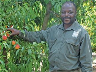 From gardener to top provincial farm worker