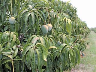 Building a family farming legacy