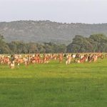 fwa201622611124.jpg