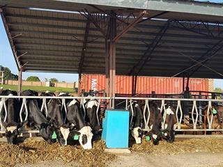 Ugandan dairy industry benefits from US experts