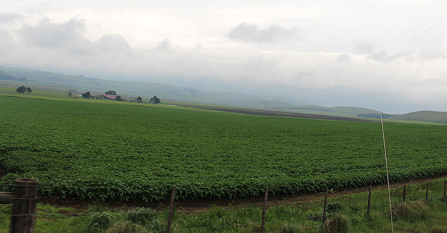 Zimbabwe farmers pin hope on next election