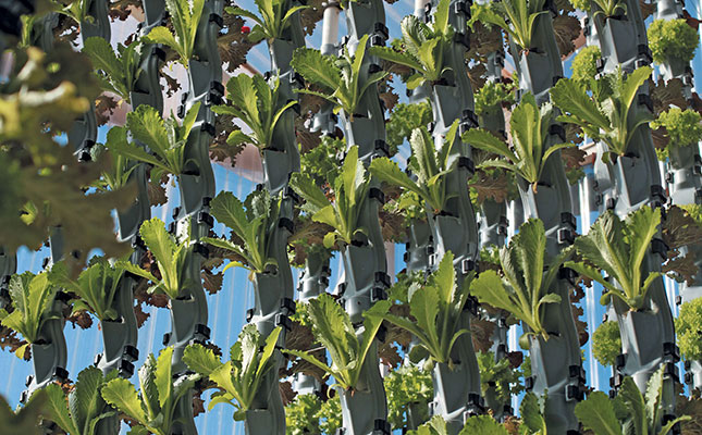 Vertical farming – less space, less water, higher yield