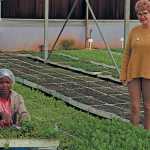 Erika-Oberholzer-tunnel-microgreens