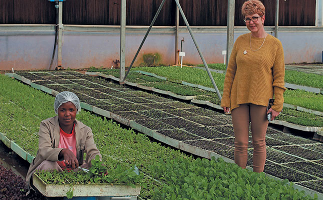 The fine business of growing micro-greens