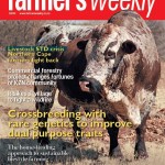 magazine