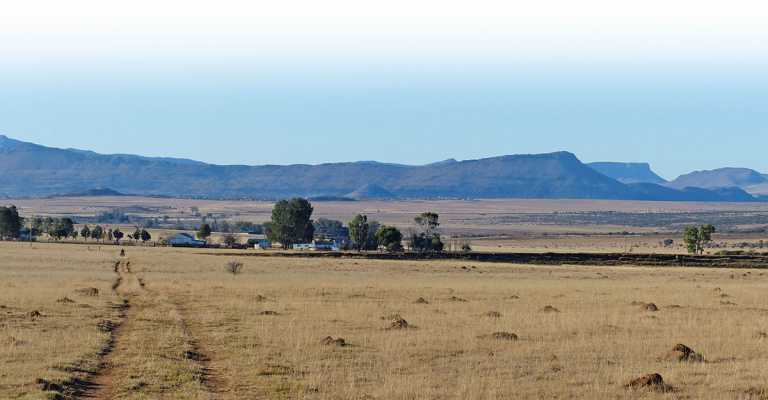 Farmers to march on the Union Buildings