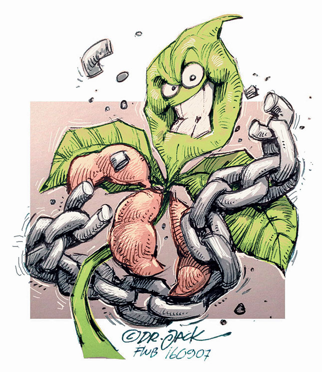 Overcoming obstacles to soya bean sector development Overcoming obstacles to soya bean sector development