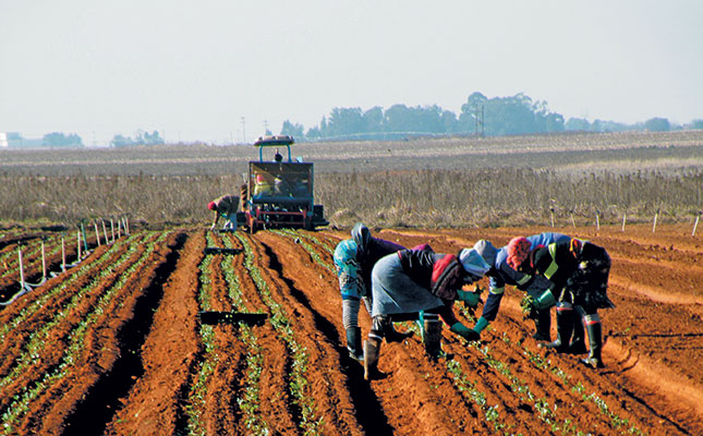 Raising the bar with cultivar selection