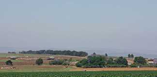 farm-land