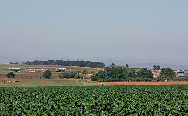 farm-land farm-land