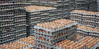 increase in egg inflation