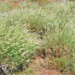 fwa2012101141338.jpg