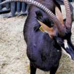 fwa20121015124526.jpg