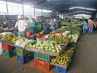 Local food markets: are they the answer? Local food markets: are they the answer?
