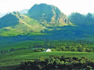 Top winery dabbles in biodynamics Top winery dabbles in biodynamics