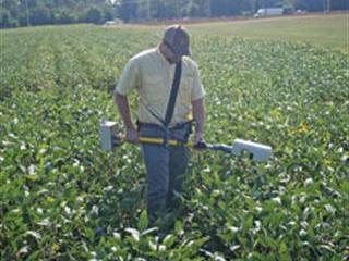 How To Make Short Shorts Look Good For Men  International Society of  Precision Agriculture