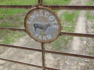 From herdboy to commercial cattle farmer From herdboy to commercial cattle farmer