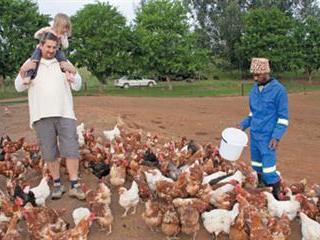 Protein for poultry, and it’s free grub too