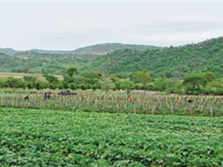 Farmers reap benefits of empowerment programme