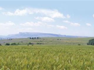 Developing successful commercial grain farmers Developing successful commercial grain farmers