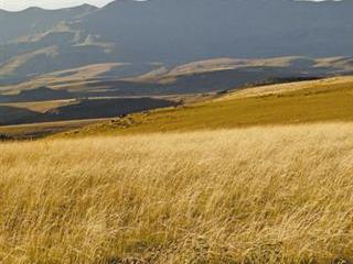 Land Reform: the end is in sight Land Reform: the end is in sight
