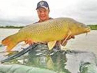 To catch a carp To catch a carp