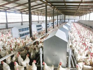 Using antibiotics wisely Using antibiotics wisely