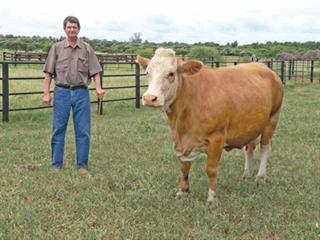 Running more animals without buying more land Running more animals without buying more land