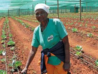 Elandsfontein co-op success Elandsfontein co-op success